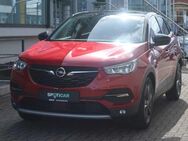 Opel Grandland X 2020 - Hachenburg