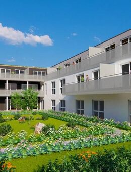 Cosmea in Sachsen bei Ansbach - Urbanes Leben genießen mit fränkisch-idyllischem Flair - Sachsen (Ansbach)