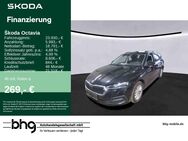 Skoda Octavia, 2.0 TDI Combi Ambition Octavia Combi, Jahr 2021 - Freudenstadt