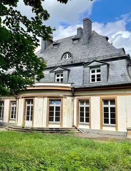 Denkmalgeschützte Villa- Bebauung erweiterbar! - Neustadt (Orla)