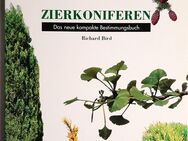 Richard Bird - Zierkoniferen - Das neue kompakte Bestimmungsbuch - Nürnberg