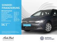 VW Golf Variant, 1.5 Golf VIII eTSI DSGückfahrkamera, Jahr 2023 - Bad Homburg (Höhe)