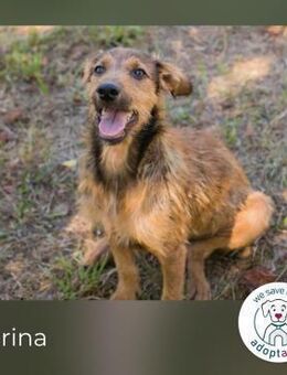 Marina sucht ihr Glück - Kirchzell