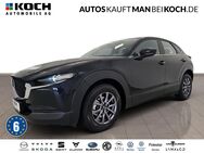 Mazda CX-30, 2.0 SKY-G 122PS MHybrid S MRCC ACAA, Jahr 2020 - Berlin