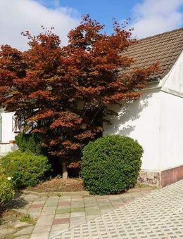 Doppelhaushälfte mit Erweiterungspotential und großem Grundstück - Düsseldorf