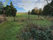 Einfamilienhaus mit umfangreichen Nebengebäuden auf 8500m² Grundstück. - Möckern (Sachsen-Anhalt)