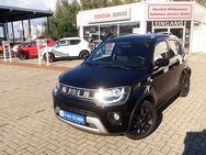 Suzuki Ignis, 1.2 Dualjet Hybrid Comfort, Jahr 2023 - Greven (Nordrhein-Westfalen)