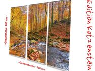 Bestattungsbedarf: L-Banner Display-Set "Bach im Herbstwald" - 300 x 200 cm - hochwertige Dekoration für Bestattung, Trauerhalle, Bestatter - Wilhelmshaven Zentrum