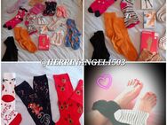 MOLLIGE Ü40 MIT großen PO trägt für dich Slips,Strings,Schuhe,Dessous,Tangas,Höschen,Bhs,Socken,Nylons,Masken,usw - Bremen