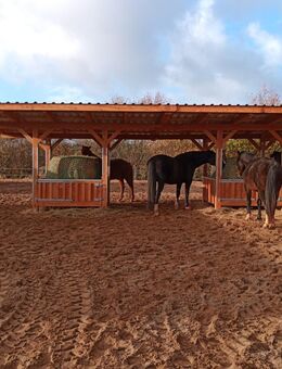 Suche Gutshof/ Bauernhof zur Pacht - Egelsbach