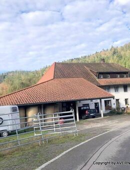 +++ AVERNET - EHEMALIGES BAUERNHAUS MIT LÄNDEREIEN IN TODTMOOS +++ - Todtmoos