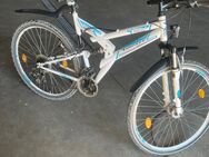 Fahrrad Gebraucht in Weiß Zündapp Blue 3.0 THREE ZERO - Schlaitdorf