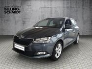 Skoda Fabia, 1.0 MPI Cool Plus, Jahr 2020 - Salzwedel (Hansestadt)