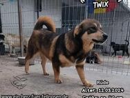 TWIX - träumt vom richtigen Paradies - Waakirchen