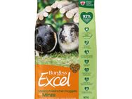 Burgess Excel Adult Meerschweinchen-Nuggets mit Minze - 1,75 kg