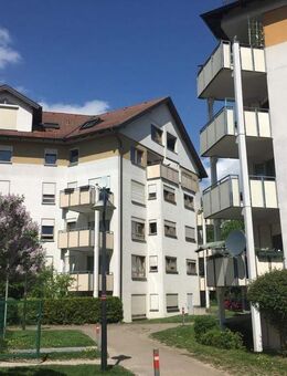 3-Zimmerwohnung mit lebenslangem Wohnrecht zur KAPITALANLAGE - Weil der Stadt