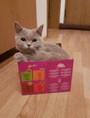 BKH Geschwister weiblich in 58509