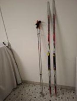 Fischer Langlauf Ski Scater ca 190 cm mit LEXI Stöcken - neuwertig - Fischer Langlauf Ski Scater ca 190 cm mit LEXI Stöcken - neuwertig -Privatverkauf - Abholung bevorzugt - Ort Stadt Ka... - Kassel