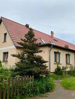 Provisionsfrei: Ihr neues Zuhause mit Platz für Ideen - Wohnhaus, Scheune & Baugrundstück in Möckern - Möckern (Sachsen-Anhalt)