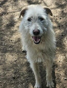 Tolle Mary wartet schon lange! - Nürnberg