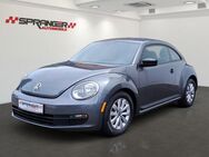 VW Beetle 1.8 TSI Exclusiv Klim Shzg Spieg.heizb Te - Calden