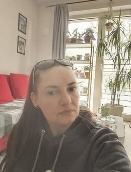 Dringend Wohnung gesucht - Flensburg