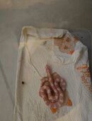 NZ Kornnattern abzugeben in 24576