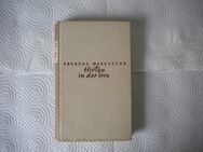 Hirten in der Irre,Andreas Markusson,Hans von Hugo Verlag,1949 - Linnich