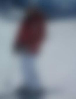 Eng*** - Friedrichshafen