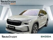 Skoda Kodiaq, 2.0 TDI Sportline, Jahr 2024 - Gummersbach