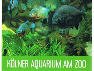 Kölner Aquarium am Zoo,1989 - Linnich