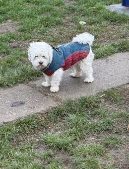 Ich heiße Kimmi ,,, - Frankfurt (Main)