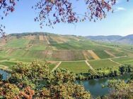 Weinberggrundstück in Zell (Mosel) OT Briedel - Briedel