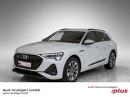 Audi e-tron, S line 55 quattro, Jahr 2023 - Böblingen