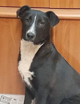 Happy - Mönchengladbach