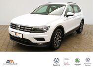 VW Tiguan, 2.0 Comfortline, Jahr 2019 - Bleicherode