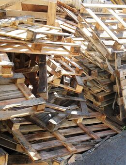 Altholz - Neu Isenburg