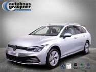 VW Golf Variant, 2.0 TDI Golf VIII MOVE, Jahr 2024 - Brandis