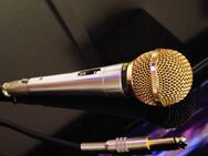 Mikrofon LG Gesang Karaoke Gold Kabel Jack 6,3mm Qualität Original - Lenting