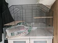 Hamster oder Kleintierkäfig - Allendorf (Lumda)