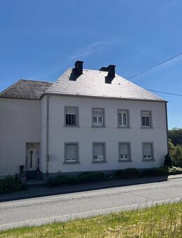 Gepflegtes Mehrfamilienhaus mit wunderschönem Grundstück in Welschbillig - Welschbillig