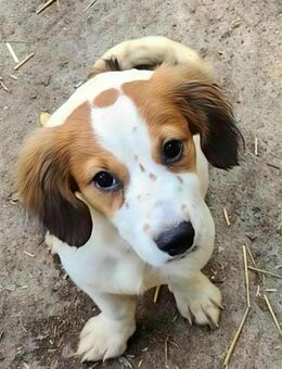 MAI ♥ Baby von unserer April - Uetze