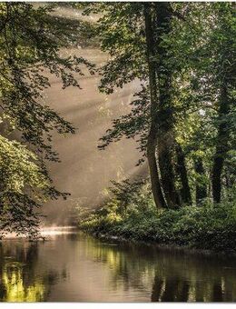 Reinders! Poster Lichtspiel am Waldsee, (1 St)