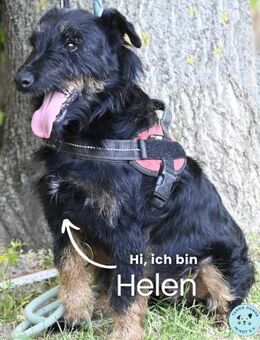 Helen SI, zauberhaftes kleines Mädchen - Rheine