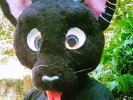 Fursuit Kopf mit Schweif - Potsdam Zentrum