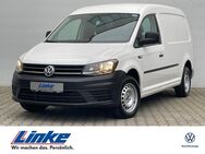 VW Caddy, 2.0 TDI EcoProfi Maxi Kasten, Jahr 2018 - Crailsheim