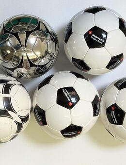 5 Fußbälle Gr.5 mit Ballpumpe - Weinstadt