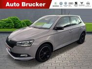 Skoda Fabia Monte Carlo 1.0 TSI+Alufelgen+Navi+Klimaautomatik+LED - Marktredwitz