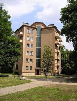 Frisch renovierte 2-Zimmer-Wohnung! - Osnabrück