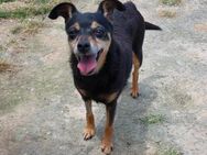 Vita - Seniorin sucht Senior - Willich